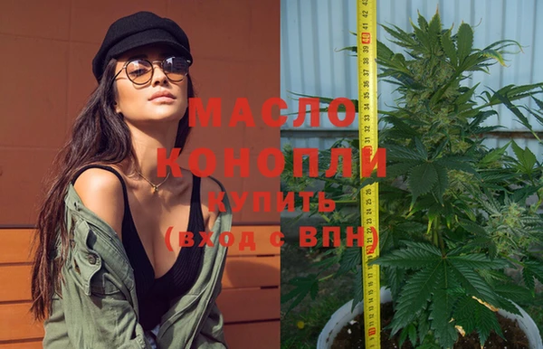 гидра Абаза