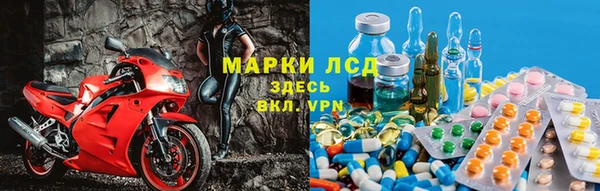 гидра Абаза