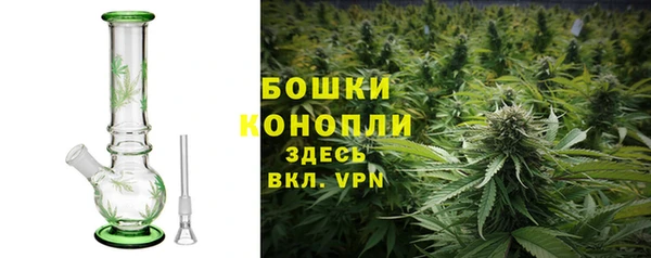 гидра Абаза